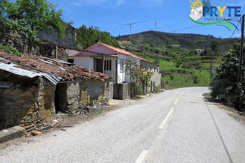 Farm i Serta, Castelo Branco, Serta - € 55.000 | Ref: AA236 - foto 1