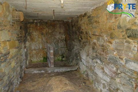 Farm i Serta, Castelo Branco, Serta - € 55.000 | Ref: AA236 - foto 24