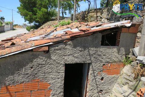 Farm i Serta, Castelo Branco, Serta - € 55.000 | Ref: AA236 - foto 25