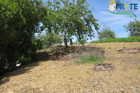 Farm i Serta, Castelo Branco, Serta - € 55.000 | Ref: AA236 - foto 27