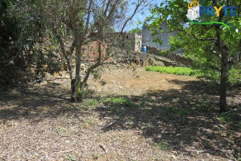 Farm i Serta, Castelo Branco, Serta - € 55.000 | Ref: AA236 - foto 28