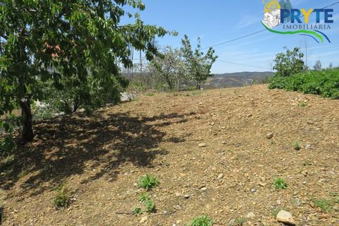 Farm i Serta, Castelo Branco, Serta - € 55.000 | Ref: AA236 - foto 29