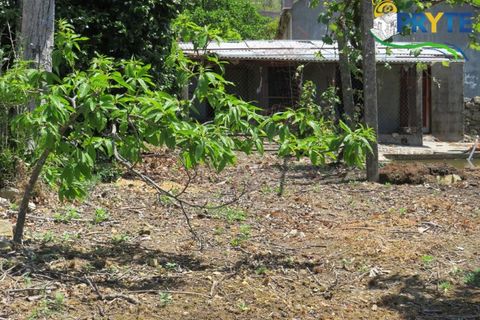 Farm i Serta, Castelo Branco, Serta - € 55.000 | Ref: AA236 - foto 30