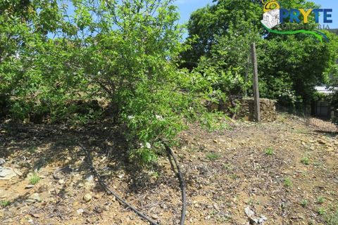 Farm i Serta, Castelo Branco, Serta - € 55.000 | Ref: AA236 - foto 31