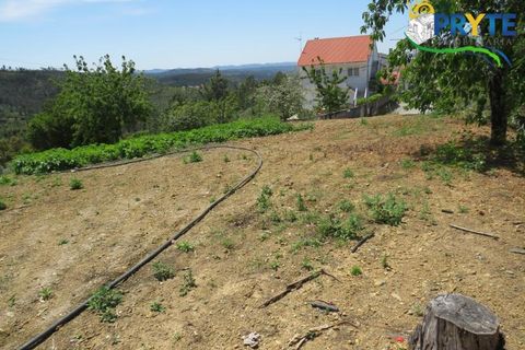 Farm i Serta, Castelo Branco, Serta - € 55.000 | Ref: AA236 - foto 32