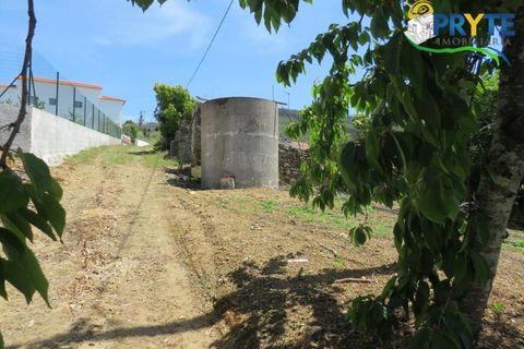 Farm i Serta, Castelo Branco, Serta - € 55.000 | Ref: AA236 - foto 33