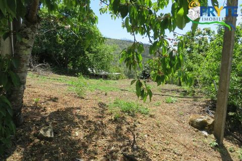 Farm i Serta, Castelo Branco, Serta - € 55.000 | Ref: AA236 - foto 34