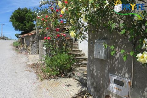 Farm i Serta, Castelo Branco, Serta - € 55.000 | Ref: AA236 - foto 36