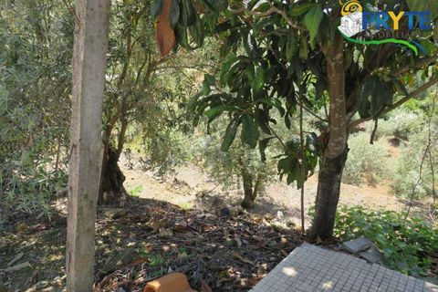 Farm i Serta, Castelo Branco, Serta - € 55.000 | Ref: AA236 - foto 38