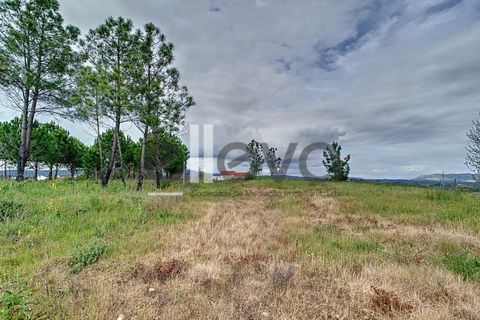 Helårsgrund i Proenca-a-Nova, Castelo Branco, Proenca-a-Nova - € 38.500 | Ref: 3938 - foto 1