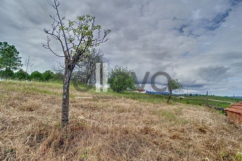 Helårsgrund i Proenca-a-Nova, Castelo Branco, Proenca-a-Nova - € 38.500 | Ref: 3938 - foto 2