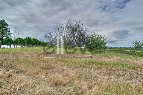 Helårsgrund i Proenca-a-Nova, Castelo Branco, Proenca-a-Nova - € 38.500 | Ref: 3938 - foto 3