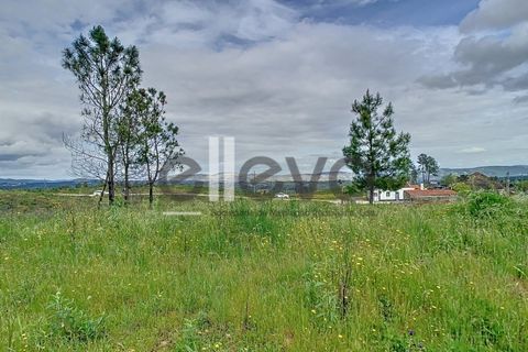 Helårsgrund i Proenca-a-Nova, Castelo Branco, Proenca-a-Nova - € 38.500 | Ref: 3938 - foto 4
