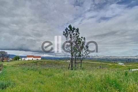 Helårsgrund i Proenca-a-Nova, Castelo Branco, Proenca-a-Nova - € 38.500 | Ref: 3938 - foto 5
