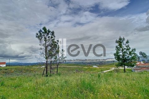 Helårsgrund i Proenca-a-Nova, Castelo Branco, Proenca-a-Nova - € 38.500 | Ref: 3938 - foto 6