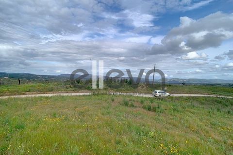 Helårsgrund i Proenca-a-Nova, Castelo Branco, Proenca-a-Nova - € 38.500 | Ref: 3938 - foto 8