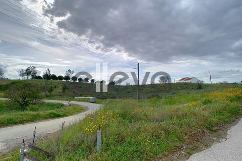 Helårsgrund i Proenca-a-Nova, Castelo Branco, Proenca-a-Nova - € 38.500 | Ref: 3938 - foto 9