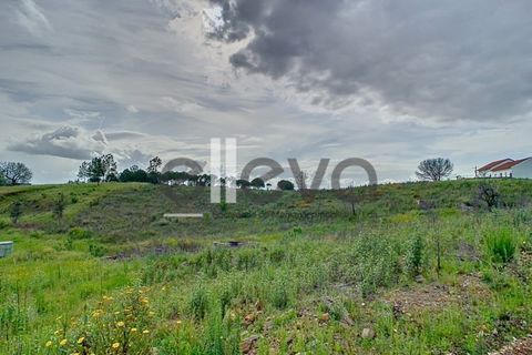 Helårsgrund i Proenca-a-Nova, Castelo Branco, Proenca-a-Nova - € 38.500 | Ref: 3938 - foto 10