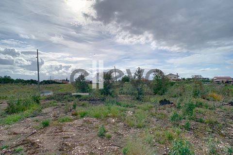 Helårsgrund i Proenca-a-Nova, Castelo Branco, Proenca-a-Nova - € 38.500 | Ref: 3938 - foto 11