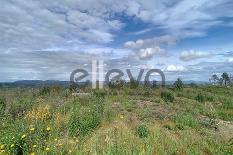 Helårsgrund i Proenca-a-Nova, Castelo Branco, Proenca-a-Nova - € 38.500 | Ref: 3938 - foto 12