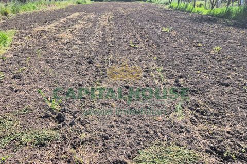 Terra a Recale, Caserta, Recale - € 54.000 | Ref: 54RE27 - foto 3