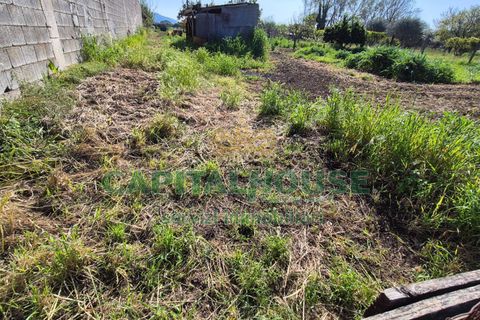 Terra a Recale, Caserta, Recale - € 54.000 | Ref: 54RE27 - foto 4
