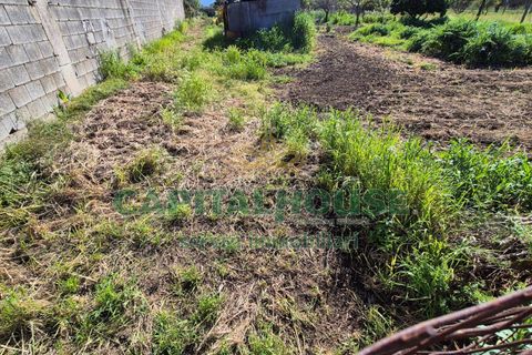Terra a Recale, Caserta, Recale - € 54.000 | Ref: 54RE27 - foto 5