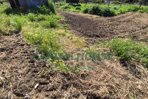 Terra a Recale, Caserta, Recale - € 54.000 | Ref: 54RE27 - foto 6