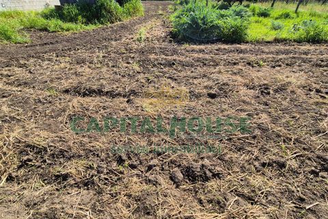Terra a Recale, Caserta, Recale - € 54.000 | Ref: 54RE27 - foto 7