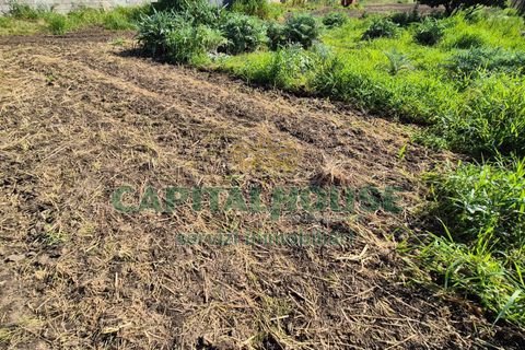 Terra a Recale, Caserta, Recale - € 54.000 | Ref: 54RE27 - foto 8