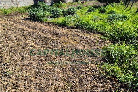 Terra a Recale, Caserta, Recale - € 54.000 | Ref: 54RE27 - foto 9