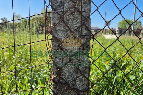Terra a Recale, Caserta, Recale - € 54.000 | Ref: 54RE27 - foto 10