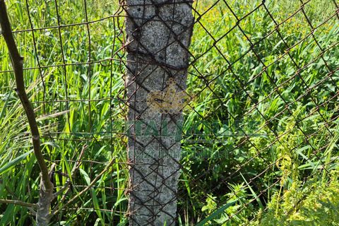 Terra a Recale, Caserta, Recale - € 54.000 | Ref: 54RE27 - foto 11