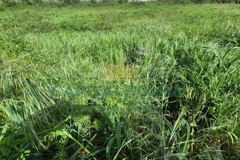 Terra a Recale, Caserta, Recale - € 32.000 | Ref: 32RE28 - foto 3