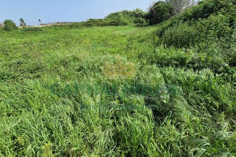 Terra a Recale, Caserta, Recale - € 32.000 | Ref: 32RE28 - foto 4