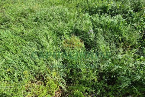Terra a Recale, Caserta, Recale - € 32.000 | Ref: 32RE28 - foto 5