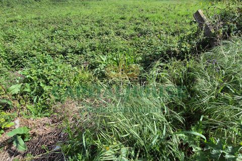 Terra a Recale, Caserta, Recale - € 32.000 | Ref: 32RE28 - foto 6