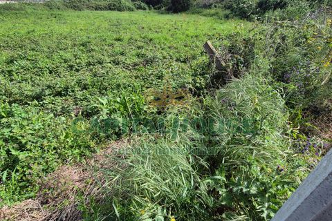 Terra a Recale, Caserta, Recale - € 32.000 | Ref: 32RE28 - foto 7