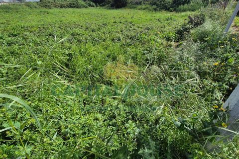 Terra a Recale, Caserta, Recale - € 32.000 | Ref: 32RE28 - foto 9