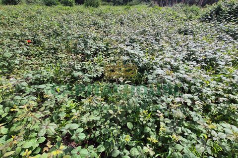 Terra a Recale, Caserta, Recale - € 32.000 | Ref: 32RE28 - foto 10