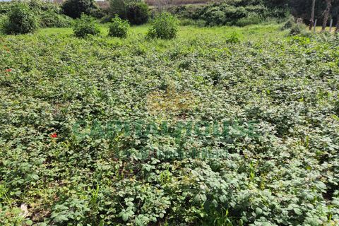 Terra a Recale, Caserta, Recale - € 32.000 | Ref: 32RE28 - foto 11