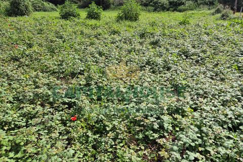 Terra a Recale, Caserta, Recale - € 32.000 | Ref: 32RE28 - foto 12