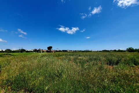 Terra a Marseillan, Herault, Marseillan - € 102.900 | Ref: 34B-TERRA_VINEA_T1phB - foto 2