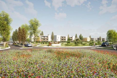 Terra a Marseillan, Herault, Marseillan - € 102.900 | Ref: 34B-TERRA_VINEA_T1phB - foto 4