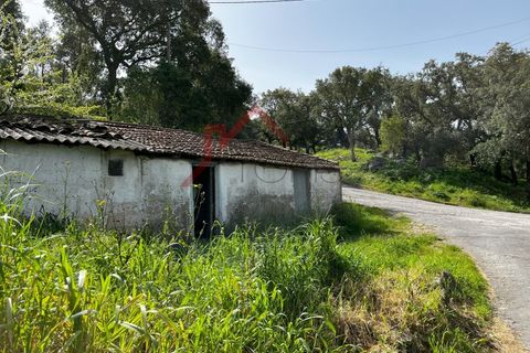 Byhus i Monchique, Faro, Monchique - € 220.000 | Ref: HAB_521 - foto 17