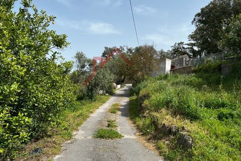 Byhus i Monchique, Faro, Monchique - € 220.000 | Ref: HAB_521 - foto 18