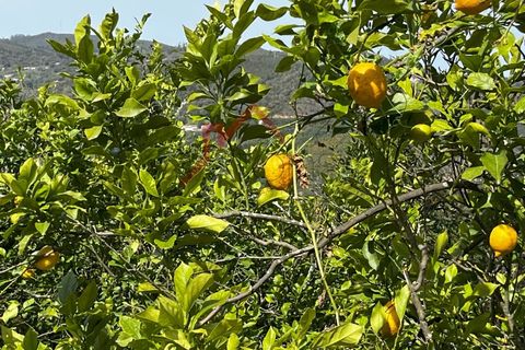Byhus i Monchique, Faro, Monchique - € 220.000 | Ref: HAB_521 - foto 21