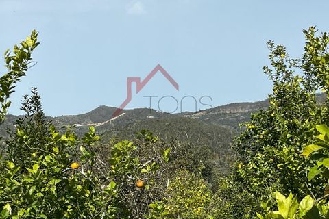 Byhus i Monchique, Faro, Monchique - € 220.000 | Ref: HAB_521 - foto 22