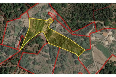 Byhus i Monchique, Faro, Monchique - € 220.000 | Ref: HAB_521 - foto 39