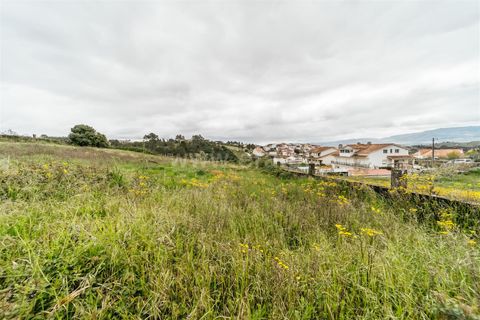 Helårsgrund i Covilha, Castelo Branco, Covilha - € 27.500 | Ref: 111250074 - foto 9